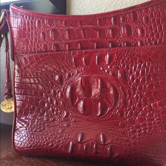 SOLD SOLD. Gorgeous Red Brahmin - Picture 4 of 4